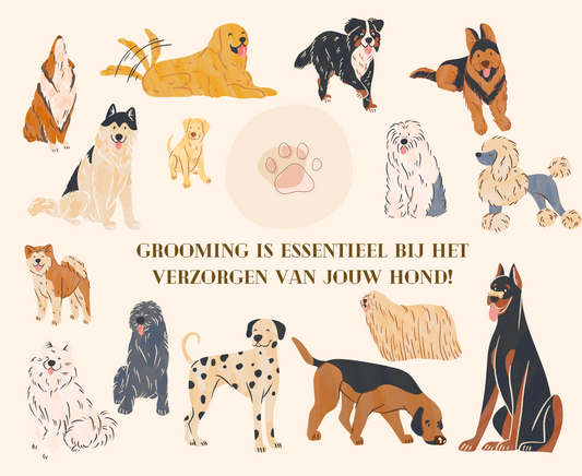 Waarom Grooming Essentieel Is Bij Het Verzorgen Van Je Hond