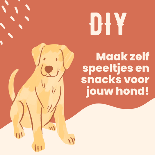 Maak thuis je eigen DIY Hondenspeeltjes