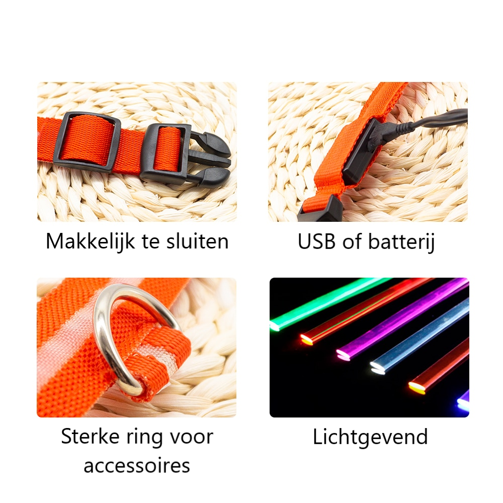 Lichtgevende hondenhalsband in alle kleuren en maten- oplaadbaar of met batterij