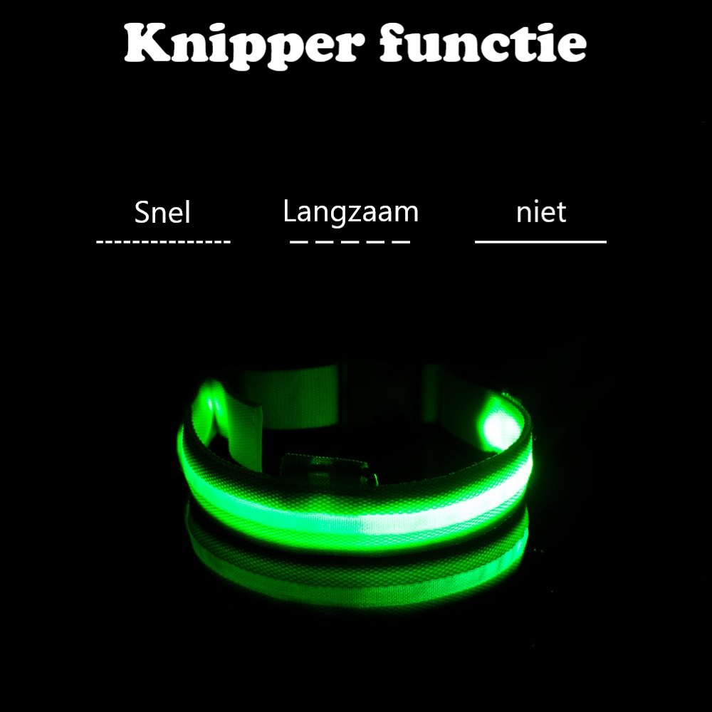 Lichtgevende hondenhalsband in alle kleuren en maten- oplaadbaar of met batterij