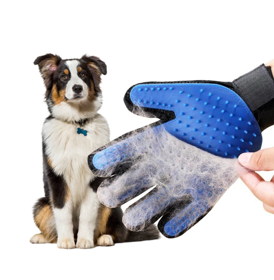 Huisdierhaar verwijderaar handschoen voor honden en katten