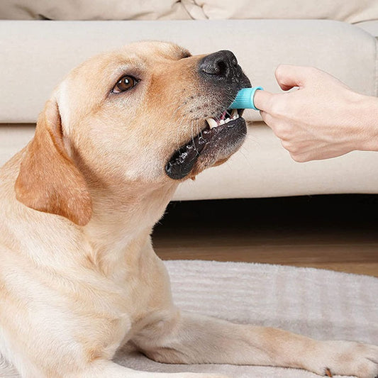 Zachte siliconen honden vingertandenborstel