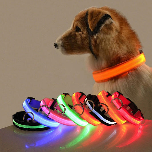 Lichtgevende hondenhalsband in alle kleuren en maten- oplaadbaar of met batterij