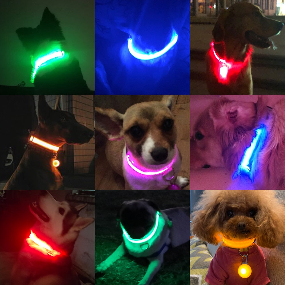 Lichtgevende hondenhalsband in alle kleuren en maten- oplaadbaar of met batterij