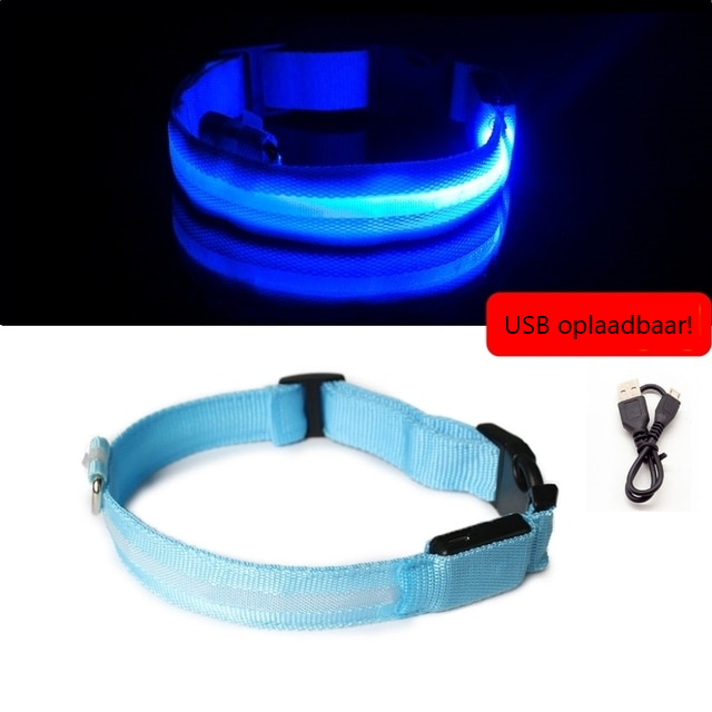 Lichtgevende hondenhalsband in alle kleuren en maten- oplaadbaar of met batterij