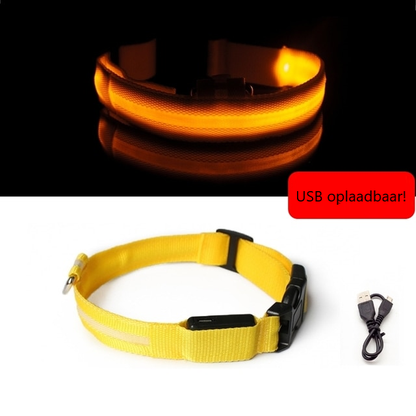 Lichtgevende hondenhalsband in alle kleuren en maten- oplaadbaar of met batterij