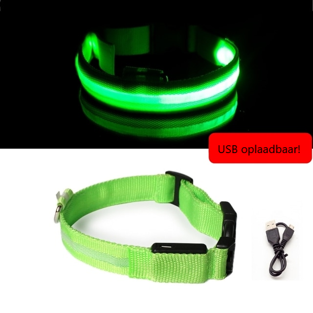 Lichtgevende hondenhalsband in alle kleuren en maten- oplaadbaar of met batterij