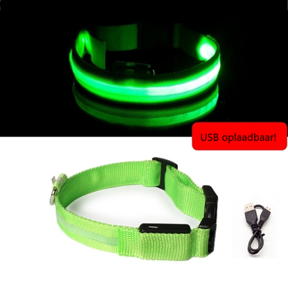 Lichtgevende hondenhalsband in alle kleuren en maten- oplaadbaar of met batterij