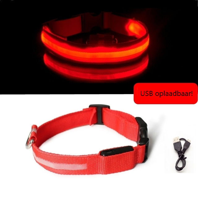 Lichtgevende hondenhalsband in alle kleuren en maten- oplaadbaar of met batterij