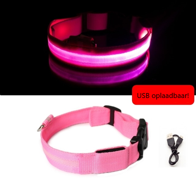 Lichtgevende hondenhalsband in alle kleuren en maten- oplaadbaar of met batterij