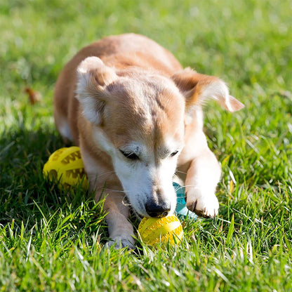 Honden kauwspeelgoed voor plezier en een beter gebit