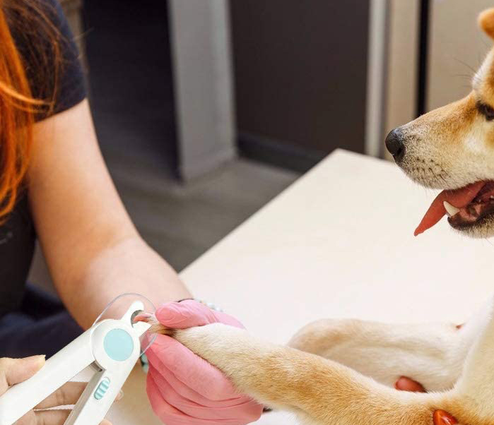 Professionele nagelknipper met lichtje voor honden en katten